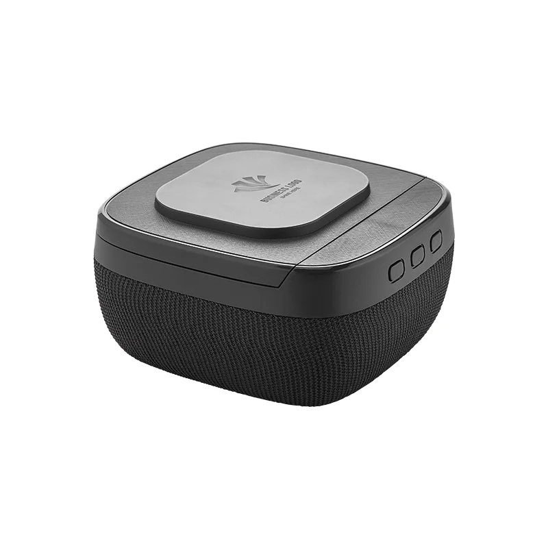 4250 Siyah Wireless Şarj & Hoparlör