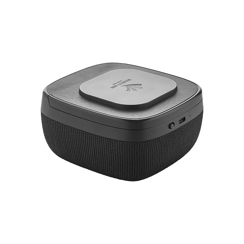 4250 Siyah Wireless Şarj & Hoparlör